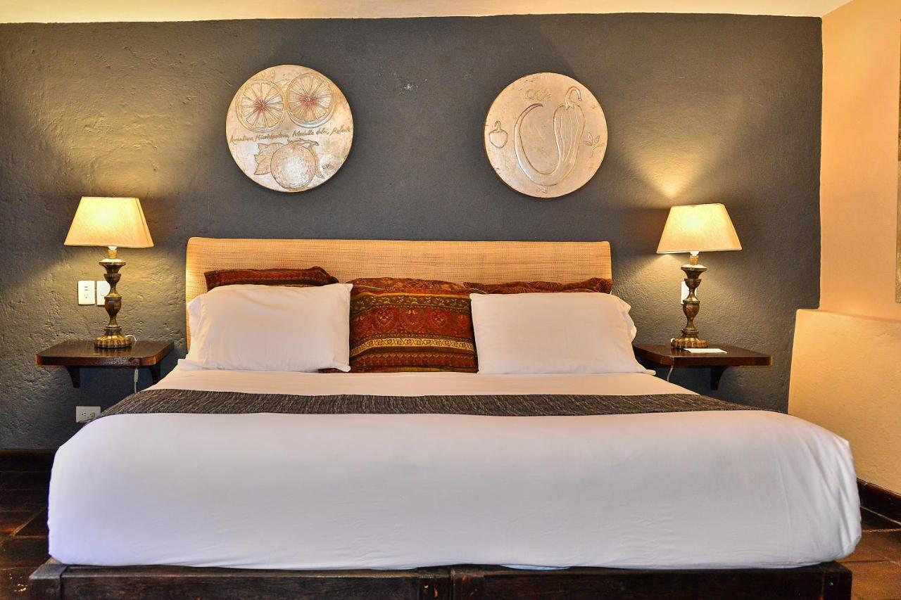 Hotel Mesones 49 Σαν Μιγκέλ ντε Αγιέντε Εξωτερικό φωτογραφία